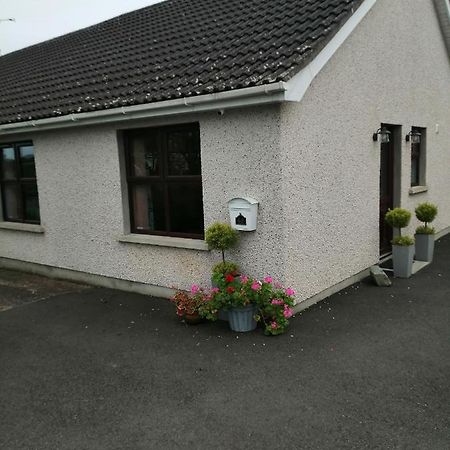 Lynn'S Lodge, International Airport 15Mins Randalstown Exteriér fotografie