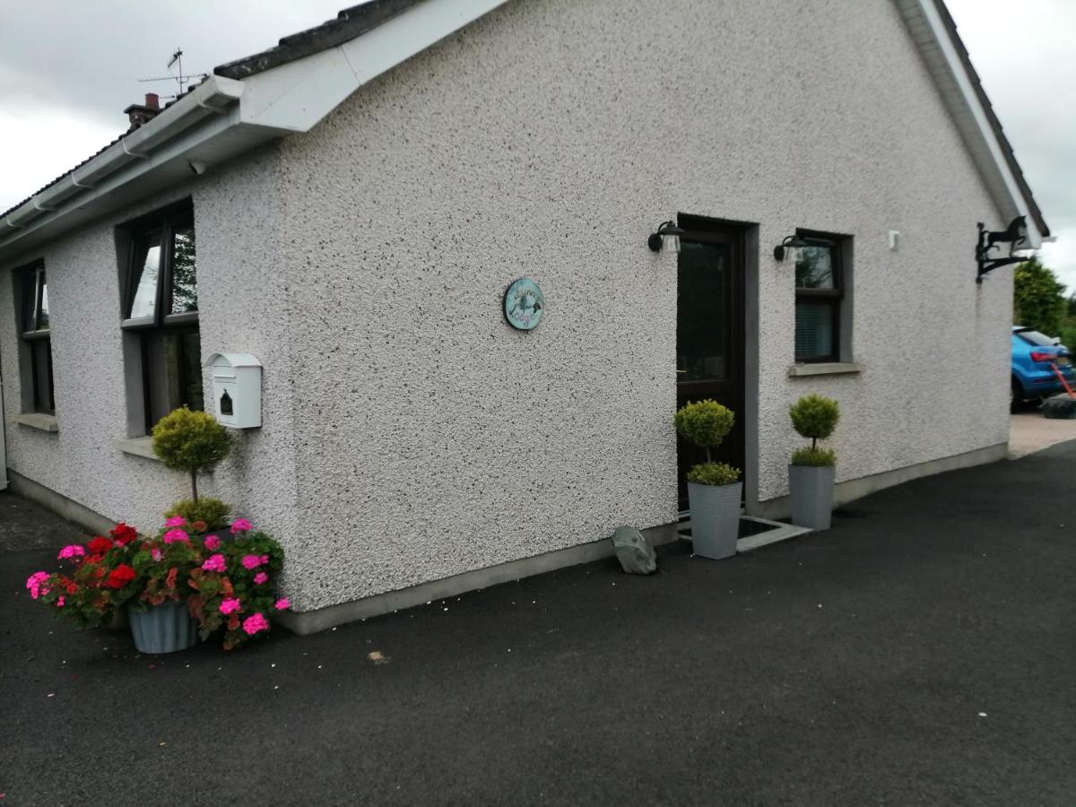 Lynn'S Lodge, International Airport 15Mins Randalstown Exteriér fotografie